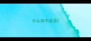 什么高手成语