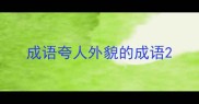 成语夸人外貌的成语