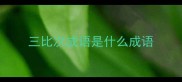 三比次成语是什么成语