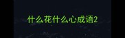 什么花什么心成语