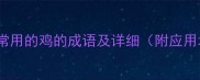 10个最常用的鸡的成语及详细附应用场景