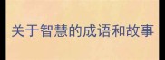 关于智慧的成语和故事