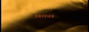 含稳字的成语