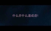 什么亦什么道成语
