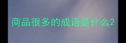 商品很多的成语是什么