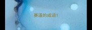 赛道的成语