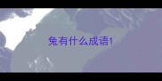 兔有什么成语