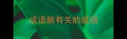 成语貌有关的成语