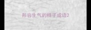 形容生气的样子成语