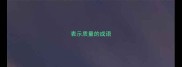 表示质量的成语