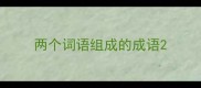 两个词语组成的成语