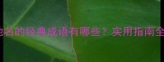 包含地名的经典成语有哪些实用指南全覆盖