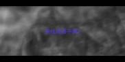 查找成语字典