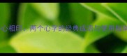 心心相印两个心字的经典成语与使用指南