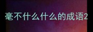 毫不什么什么的成语