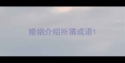 婚姻介绍所猜成语