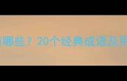 风雨相关成语有哪些20个经典成语及用法附例句