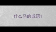 什么马的成语