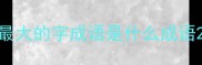 最大的字成语是什么成语