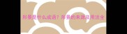 形景是什么成语形景的来源及用法全