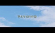 秋末冬初的成语