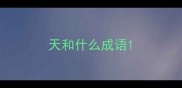 天和什么成语