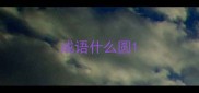 成语什么圆