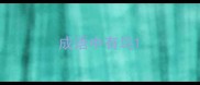 成语中有鸟