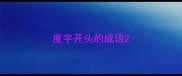 度字开头的成语
