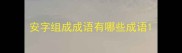 安字组成成语有哪些成语