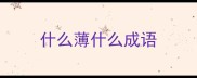 什么薄什么成语