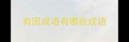 有国成语有哪些成语