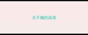 关于媚的成语