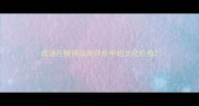 成语在精神品质评价中的文化价值