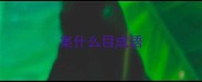 案什么目成语