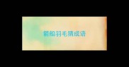 箭船羽毛猜成语