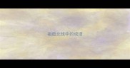 祖逛北伐中的成语