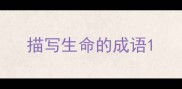 描写生命的成语