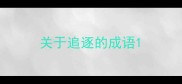 关于追逐的成语