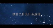 续什么什么什么成语