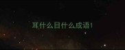 耳什么目什么成语