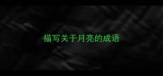 描写关于月亮的成语