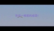 形容一根筋的成语