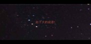 肚子大的成语