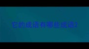 它的成语有哪些成语