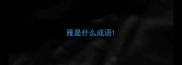 雁是什么成语