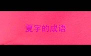 夏字的成语