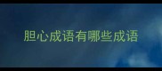 胆心成语有哪些成语