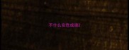 不什么安危成语