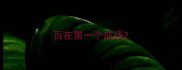 百在第一个成语